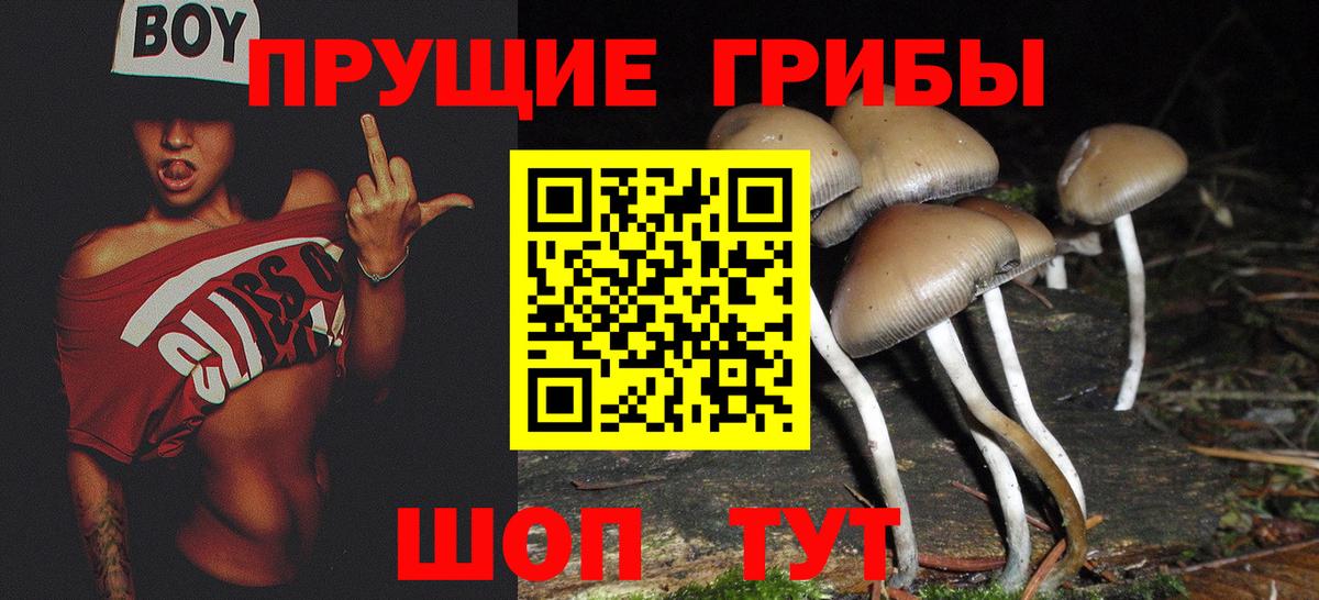 Псилоцибиновые грибы MAGIC MUSHROOMS Белореченск