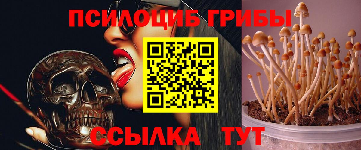 Белореченск  Псилоцибиновые грибы Magic Shrooms  Вход с VPN 